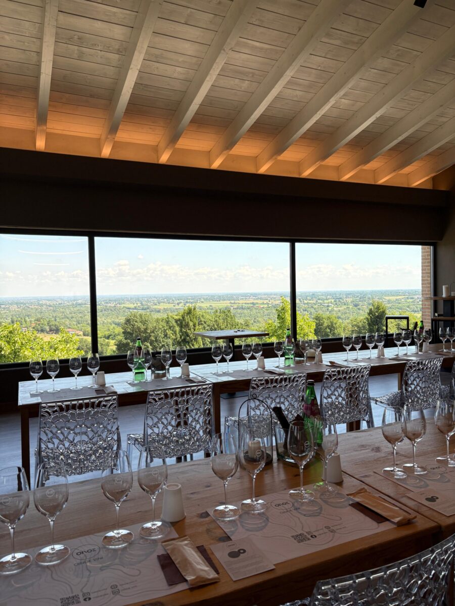 degustazione 10
