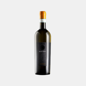 Anfora | Malvasia Colli di Parma DOC