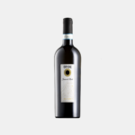 Brezza di Monte Malvasia Magnum | Malvasia Bio Colli di Parma DOC